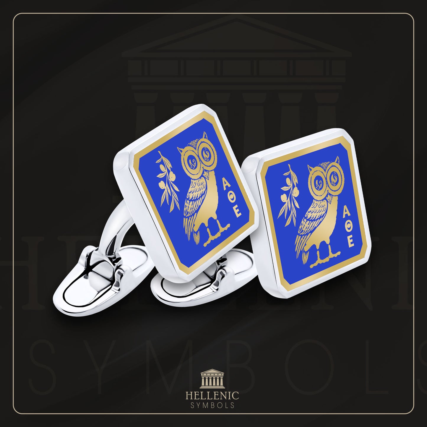 Owl / 925 silver Cufflinks with enamel