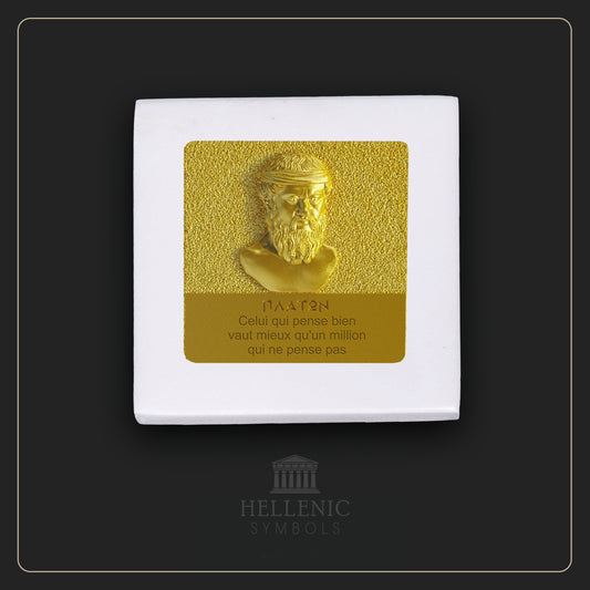 PLATO QUOTE 3D 1 (French) / Alabaster with Brass