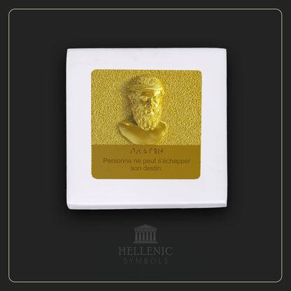 PLATO QUOTE 3D 3 (French) / Alabaster with Brass