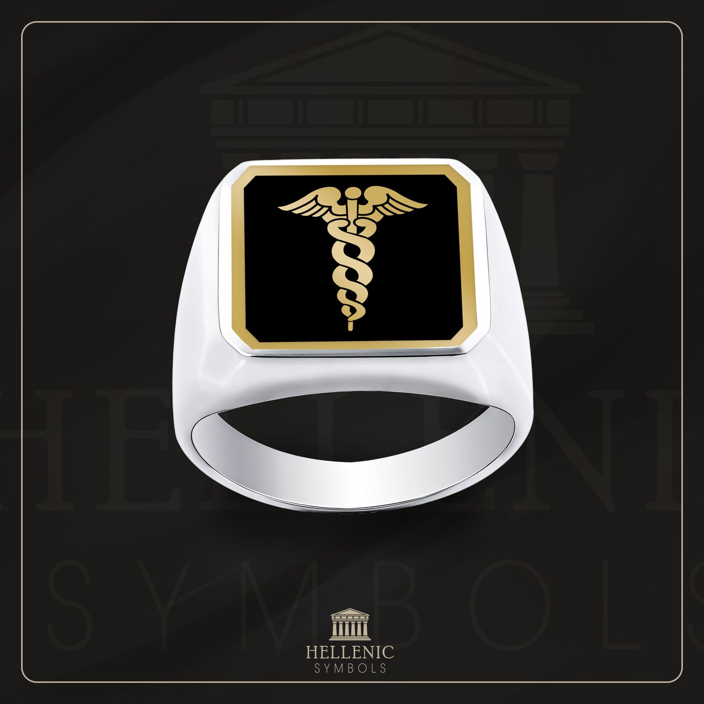 Caduceus / 925 silver Ring with enamel