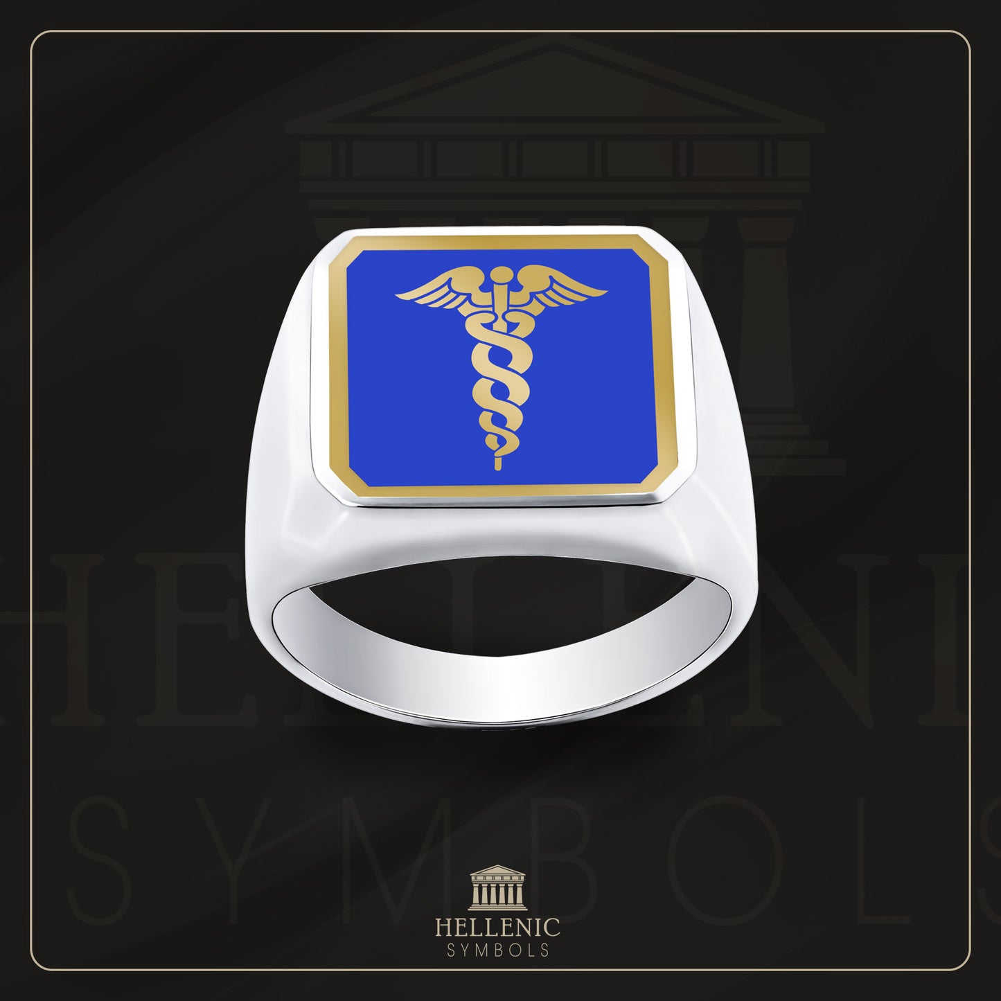 Caduceus / 925 silver Ring with enamel